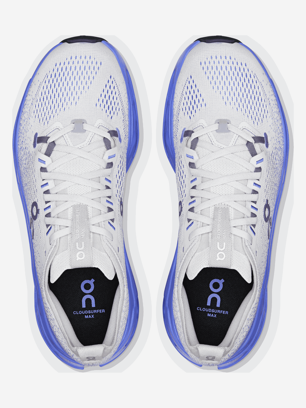 ON RUNNING - Men Cloudsurfer Max 1 Sneakers